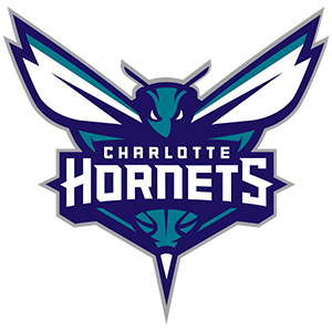 Charlotte Hornets Flag: Buzz City Pride - Shop at FlagOh for Official Hornets Flags & Merchandise