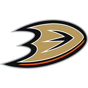 Denver Nuggets Flag: Elevate Your Team Spirit with Official Nuggets Flags & Merchandise" - Image 94