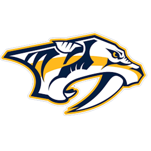 New Orleans Pelicans Flag: Soar High with Team Pride - Official Pelicans Flags & Gear - Image 110