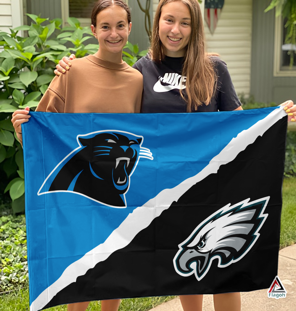 Panthers vs Eagles House Divided Flag, NFL House Divided Flag - Image 3