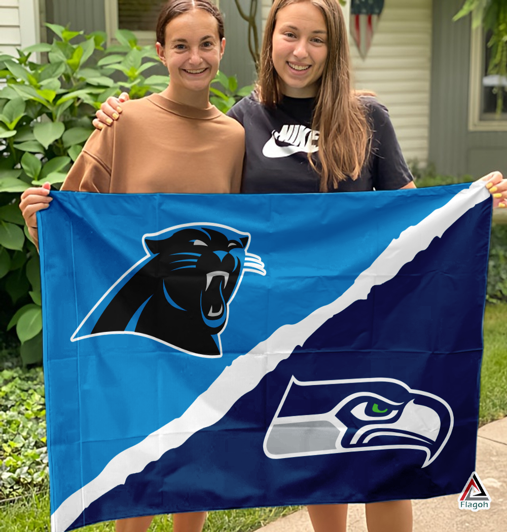 Panthers vs Seahawks House Divided Flag, NFL House Divided Flag - Image 3