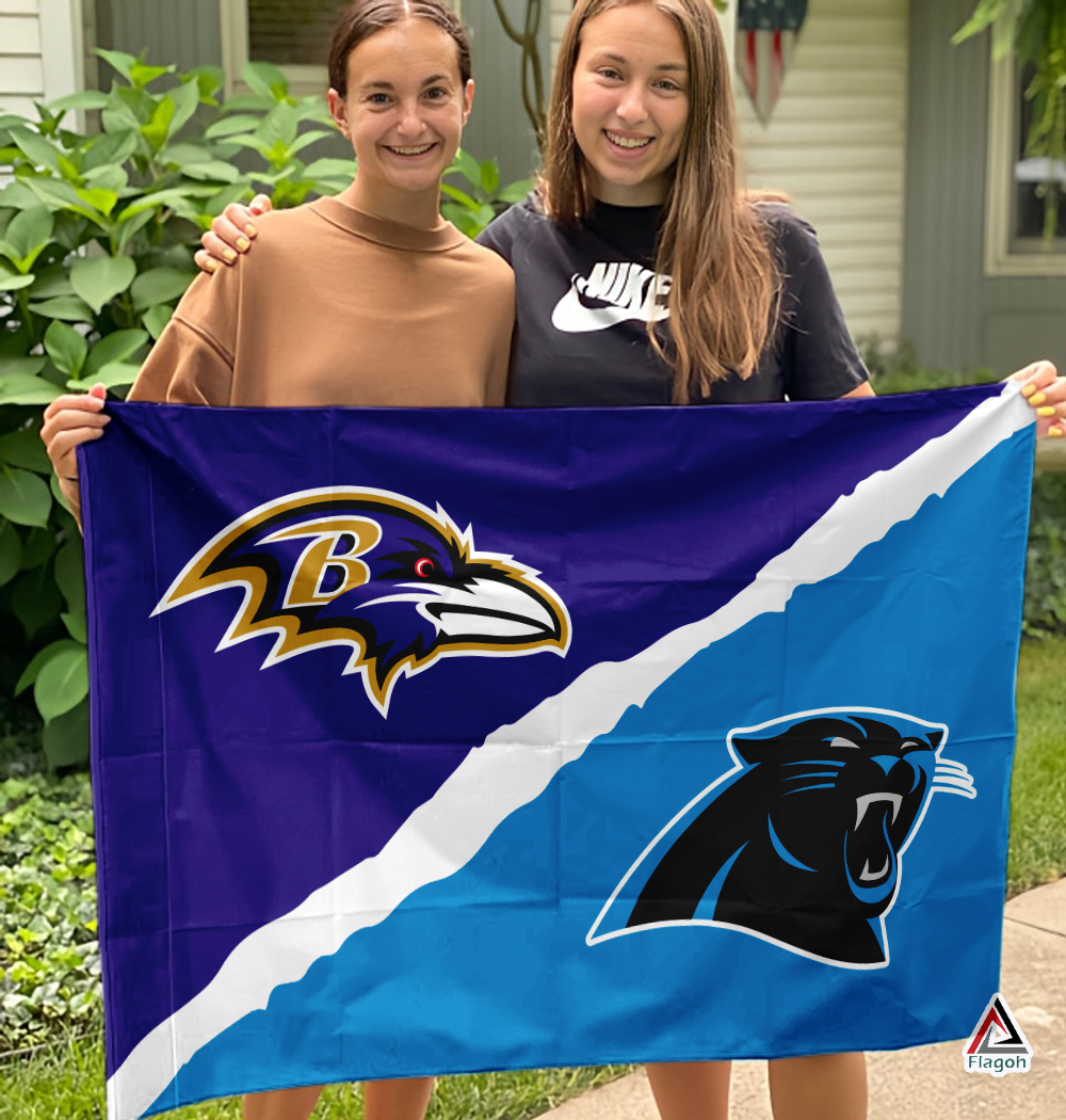Ravens vs Panthers House Divided Flag, NFL House Divided Flag - Image 3